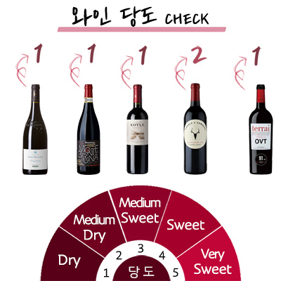 5��5�� ��Ʈ[2026ver.]